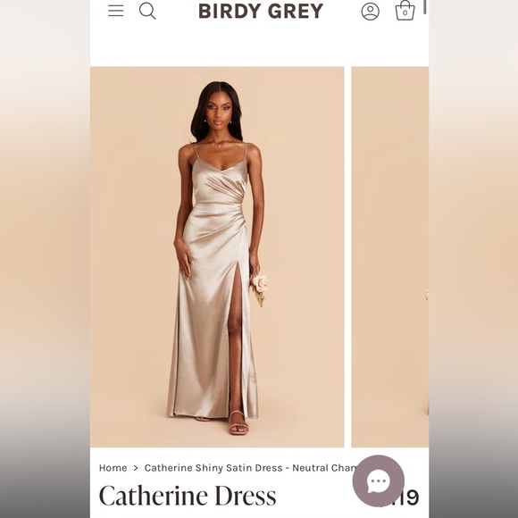 Birdy Grey Neutral Champagne Dress - Picture 2 of 6